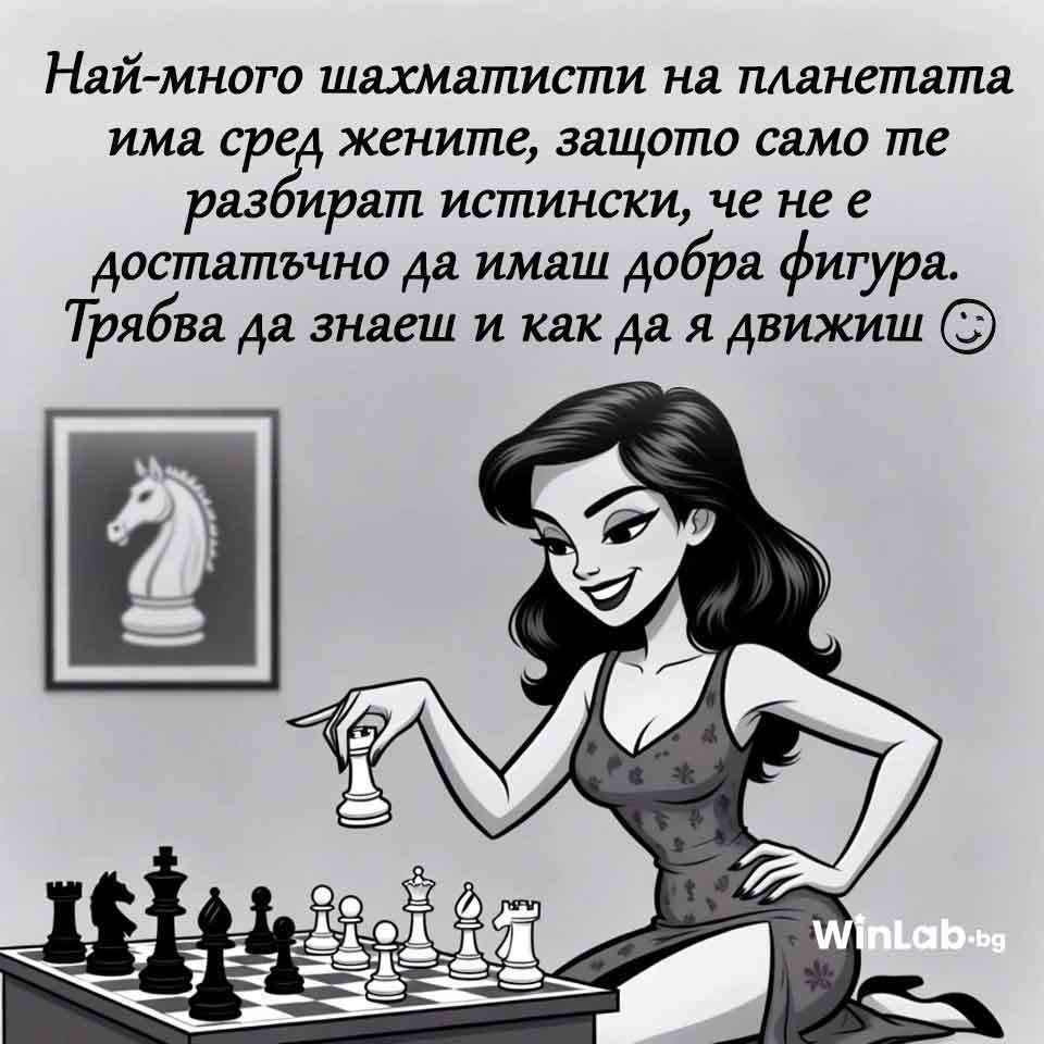 виц за шах